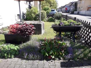 Hotel Garni Siedlerstube - Nürtingen - 3