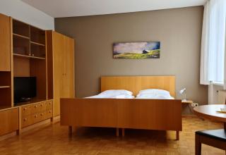 Hotel Viktor - Viktorsberg - 8