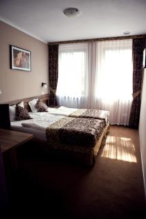 Hotel Dębowe Wzgórze Wellness & Spa - Jarnołtówek - 9