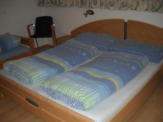 Golf & Ski Appartements Lesak - Zell am See - 1