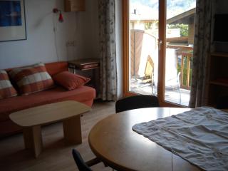 Golf & Ski Appartements Lesak - Zell am See - 2