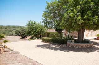 Finca Ullastre - Portopetro - 5