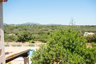 Finca Ullastre - Portopetro - 2