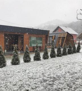 Alexandar house - Mokra Gora - 3