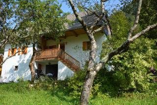 Rustic Apartment PETRA - Soča - 9
