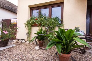 Penzion Marhulka - 9