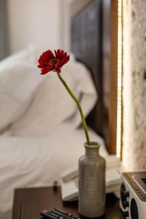 La Plaza Arequipa Hotel Boutique - Arequipa - 2