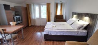 Apartments Banjica - Soko Banja - 3