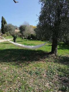 Studio au milieu d une oliveraie Le Mas de la huppe - Tourrettes-sur-Loup - 8