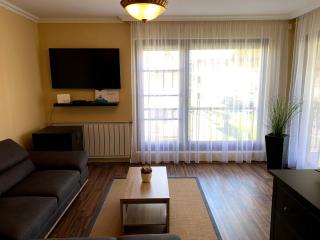 Lakeside Luxury Apartment - 1