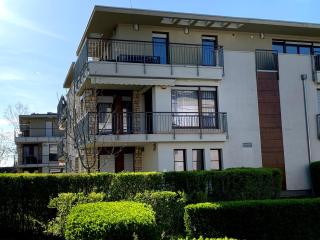 Lakeside Luxury Apartment - 8