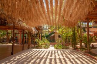 M a r e a V i v a - 8