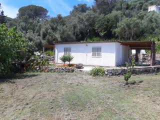 Garden House Q4527 - 0