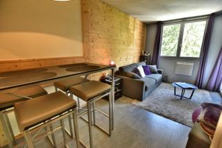 Chamonix Centre"Residence les jonquilles2" - 3