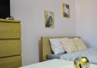 Apartament Poznań Extra Zone - 0