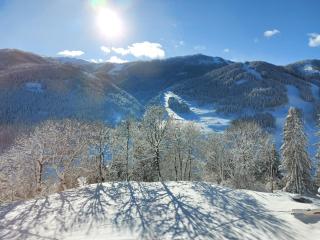 Hotel Restaurant Raunig - 4