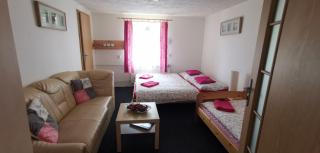 Penzion Tomy Pihlov - 9