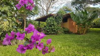Tacacori EcoLodge - Alajuela - 5