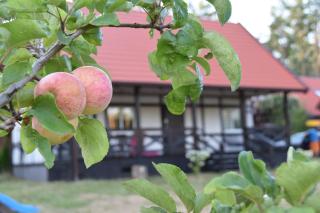 Afbeelding van de locatie