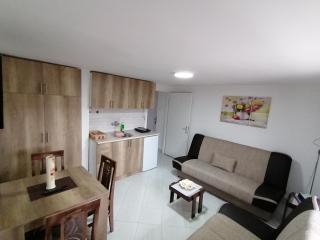 Apartman Radojković - Soko Banja - 1