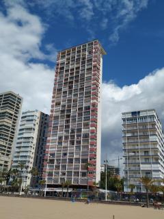 Las Damas estudio-Fincas Benidorm - Benidorm - 8