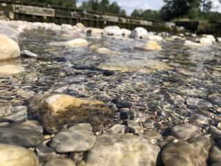 Ferien an der Traun - Traunwalchen - 9