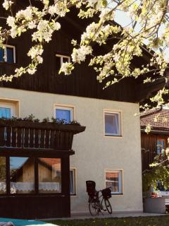 Ferien an der Traun - Traunwalchen - 7