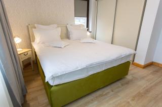 Pension Carmen`s Mansion A - Sinaia - 4