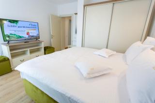 Pension Carmen`s Mansion A - Sinaia - 6
