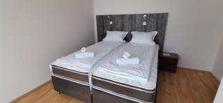 Apartments Milsa Lux - Soko Banja - 1