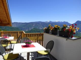 Kristallhof Fewo Bergblick - Caldaro - 9