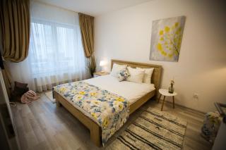 RentForComfort Apartment Ella - Brasov - 9