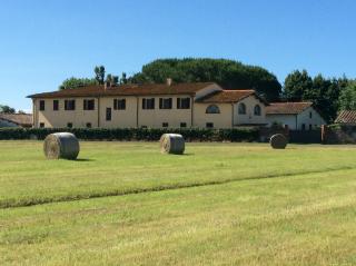 Podere Magnolia - Pisa - 9