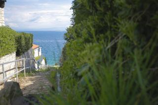Apartments Villa Sofia - Crveni Vrh - 2