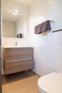 Vrijstaande vakantiewoning Petite Renard - Zoutelande - 1
