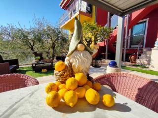 Garda Dreams Apartment - Torri del Benaco - 2