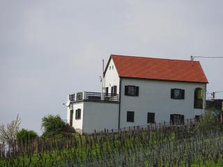 Kellerstöckl Eisenberg/Pinka Weiner - Eisenberg an der Pinka - 7