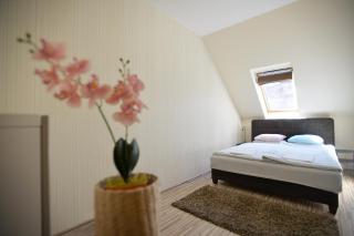Family Deluxe Apartments - Eger - 4