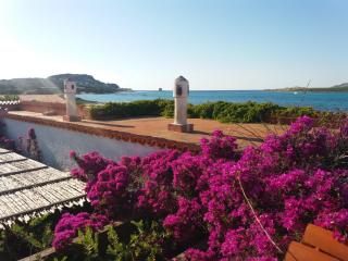 Villa Curiazzi Guesthouse Viale la Pelosa 16 - 4
