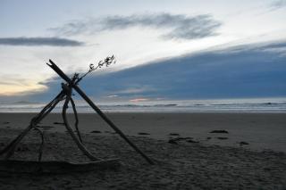 Moeraki Beach Motels - 5