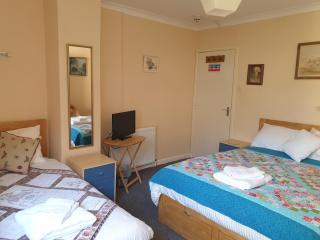 Avoncourt Lodge - Ilfracombe - 3