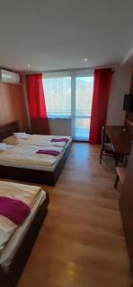 Hotel Felicia - Kaluža - 3