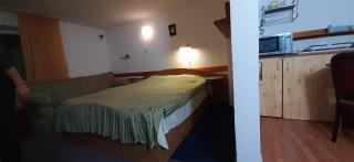 Apartamente Casa Cristina in Pensiune la 400m de Pârtia de ski - Buşteni - 7
