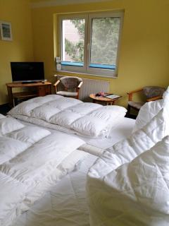 Ferienwohnung 2, Waldesruh Dierhagen - Dierhagen - 4