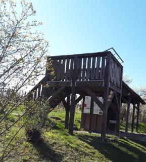 Ferienwohnung - Zimmervermietung Ringelmann - Dettelbach - 2