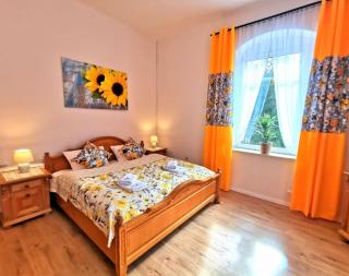 Pension Haus Anna - Kurort Altenberg - 8