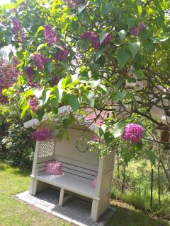 Apartman Panonsko more - Palić - 6