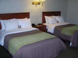 Comfort Inn & Suites - 8