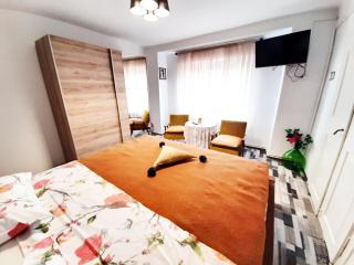Apartman Felice - Rijeka - 5