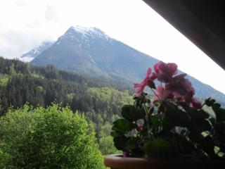Gästehaus Eckau Ferienwohnungen - Ramsau bei Berchtesgaden - 2